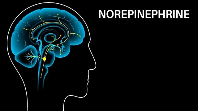 Norepinephrine