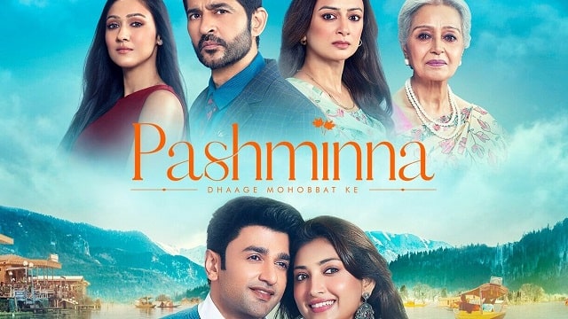 Pashminna Written Update