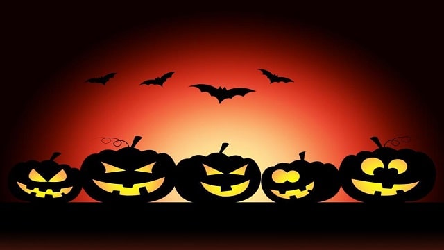 Halloween Bats