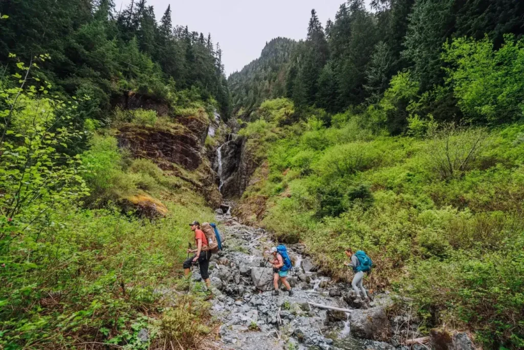 Into the Wild: Malaysia’s Best Hiking Trails and Nature Escapes